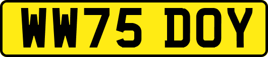 WW75DOY