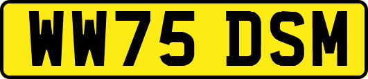 WW75DSM