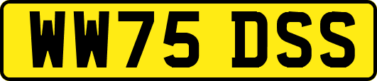 WW75DSS