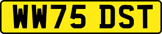WW75DST