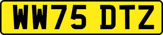 WW75DTZ