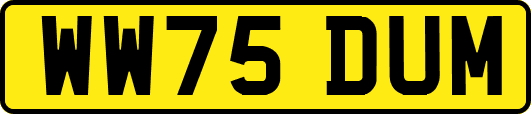 WW75DUM