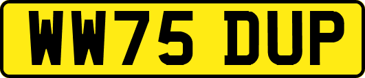 WW75DUP