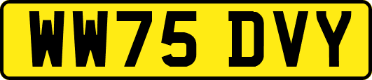 WW75DVY