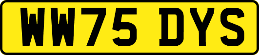 WW75DYS