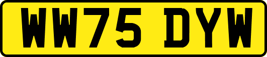 WW75DYW