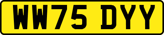 WW75DYY