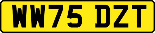 WW75DZT