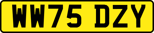 WW75DZY