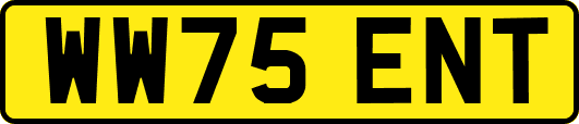 WW75ENT
