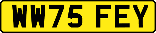 WW75FEY