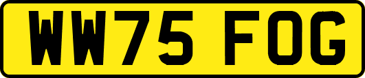 WW75FOG