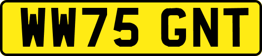 WW75GNT