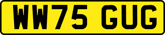 WW75GUG