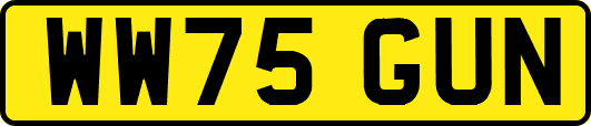 WW75GUN
