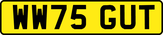 WW75GUT
