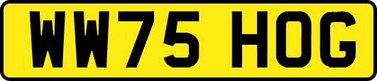WW75HOG