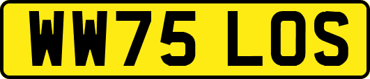 WW75LOS