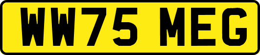 WW75MEG