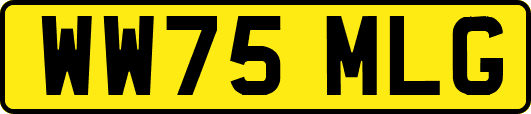 WW75MLG