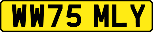 WW75MLY