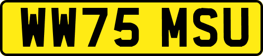WW75MSU