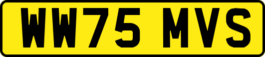 WW75MVS