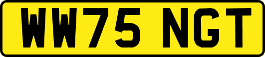 WW75NGT