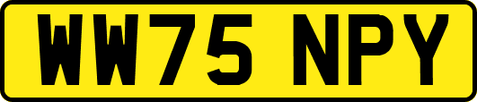 WW75NPY