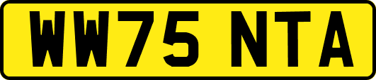WW75NTA