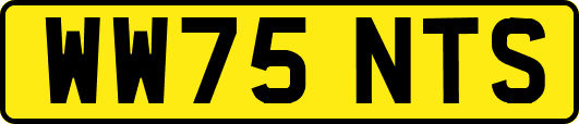WW75NTS