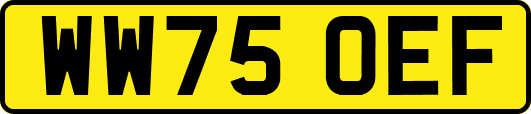 WW75OEF