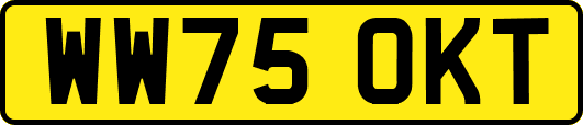 WW75OKT