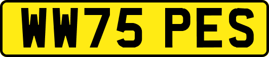 WW75PES