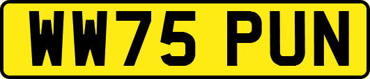 WW75PUN
