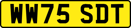 WW75SDT