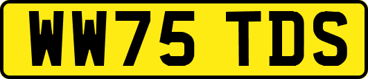 WW75TDS