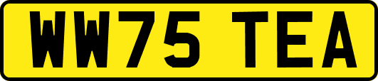 WW75TEA