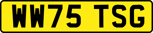 WW75TSG