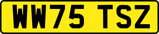 WW75TSZ