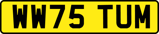 WW75TUM