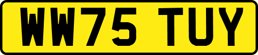 WW75TUY