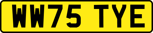 WW75TYE