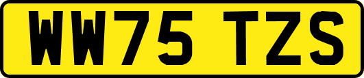 WW75TZS