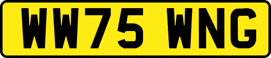 WW75WNG