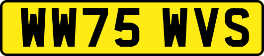 WW75WVS