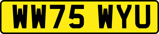 WW75WYU