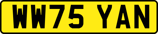 WW75YAN