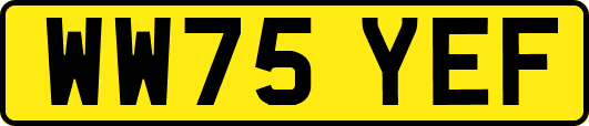 WW75YEF