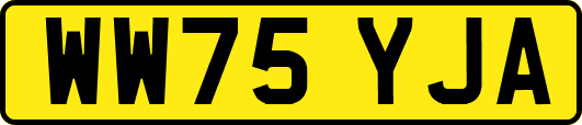 WW75YJA